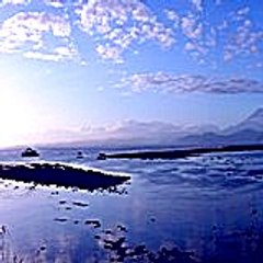 Catherinemaher68