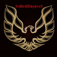 XxBirdSlayerxX
