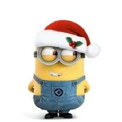 Funny vedios