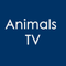 Animals TV