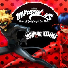 Miraculum Biedronka i Czarny kot