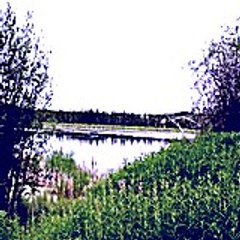 Russellmoyle50