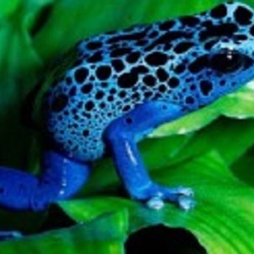 ✨✨✨Best HD channel✨✨✨