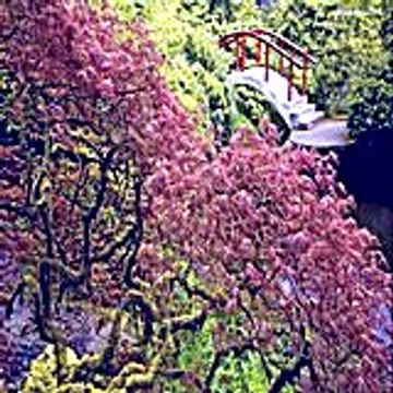 Newtonsolley17