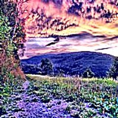 Louisespanswick60