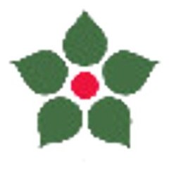 Irantvserial
