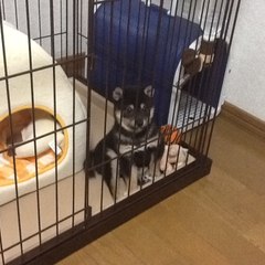 HideSuke