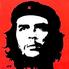 Icax professional software supplier