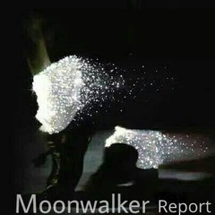 Moonwalker Report