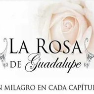 La Rosa de Guadalupe HD