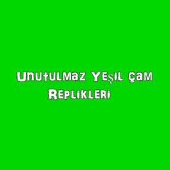 Kibar Feyzoo