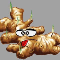 Ginger Is Tasty