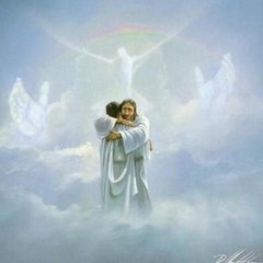 The Biblical Christian