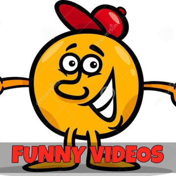 Funny videos