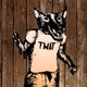 Team Wolf Alpha Team