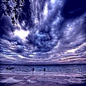 Josephsayer29