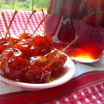 Dmitriya5qb