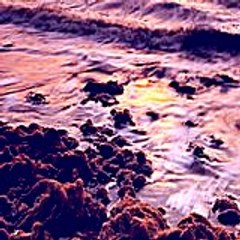 Roseannamanly81