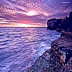 Cathleenwhitmore57
