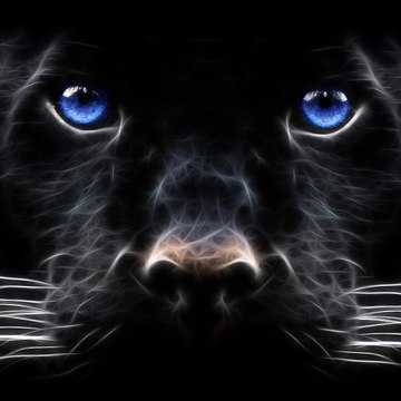Panther Corp