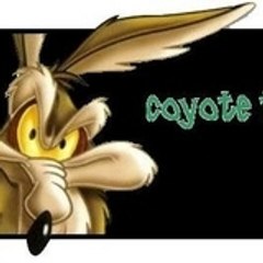 COYOTE-TEAM