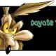 COYOTE-TEAM