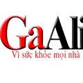 Tỏi Đen GaAli