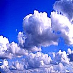 Eduardodavey40