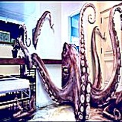 Samuelstorie15