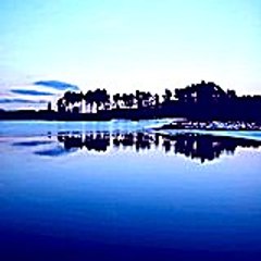 Deborahcurd73