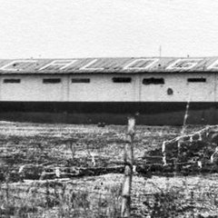 Macaloge1972