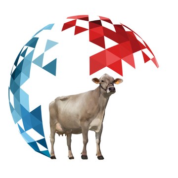 MONDIAL BRUNE 2016