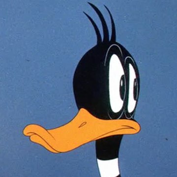 t TOONHEAD16