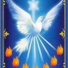 Marcos Antonio Férri