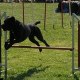 xXx Agility xXx Camille