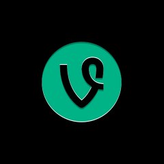 Vines Compilation