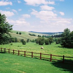 Afroeuropeancollection