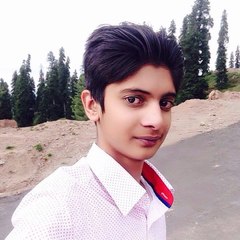 hanzla Ali