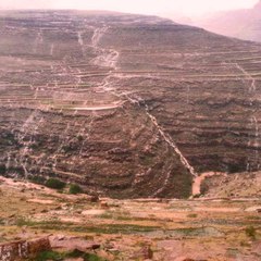 ايمان العقاب