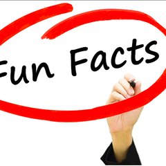 Ask interesting Facts