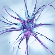 GUERRA VIRAL EN LA WEB