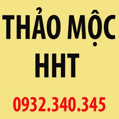Hoa hòe - Thảo mộc HHT