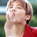 Junsu Dolphin