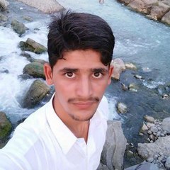 Funny Videos