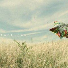 daily71