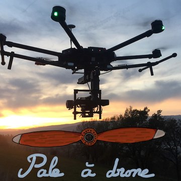 Paladrone