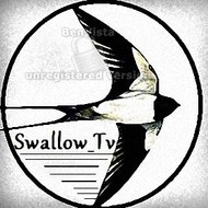 Swallow_Tv
