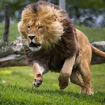 Inspiracion Positiva