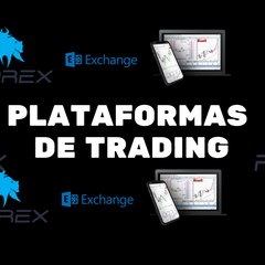 PLATAFORMAS DE TRADING