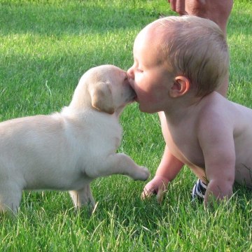 Cute & Funny
